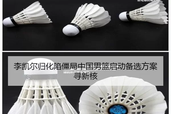 李凯尔归化陷僵局中国男篮启动备选方案寻新核